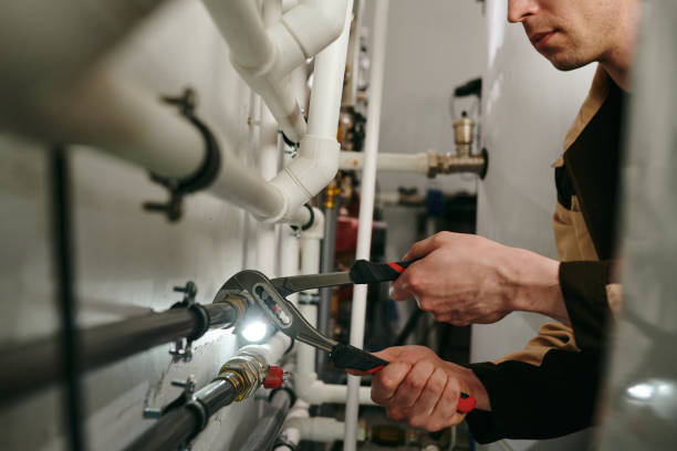 Best Local Plumber Services  in Pleasureville, PA